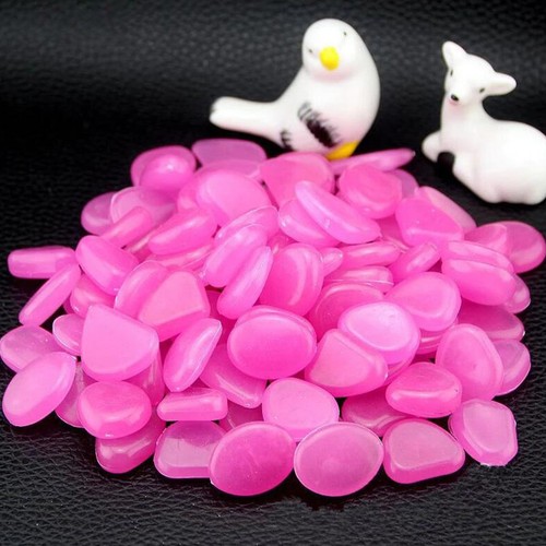 100 pcs ciottoli - 100,