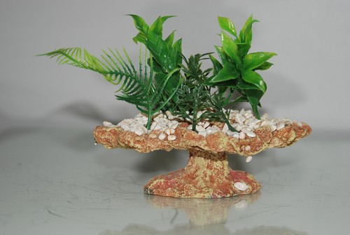 Piccolo acquario roccia - piccolo,