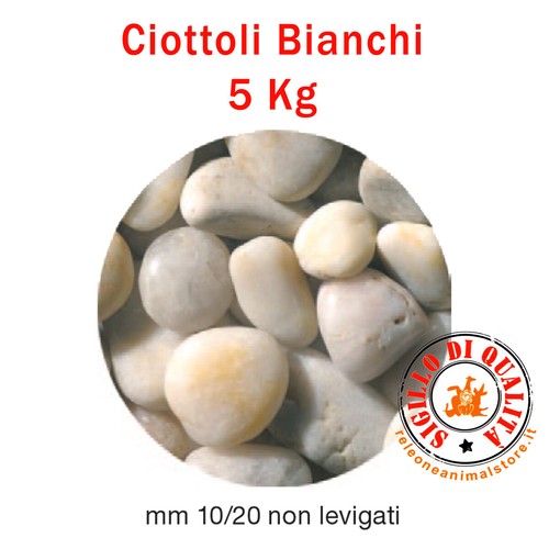 Ciottoli bianchi non levigati - ciottoli,